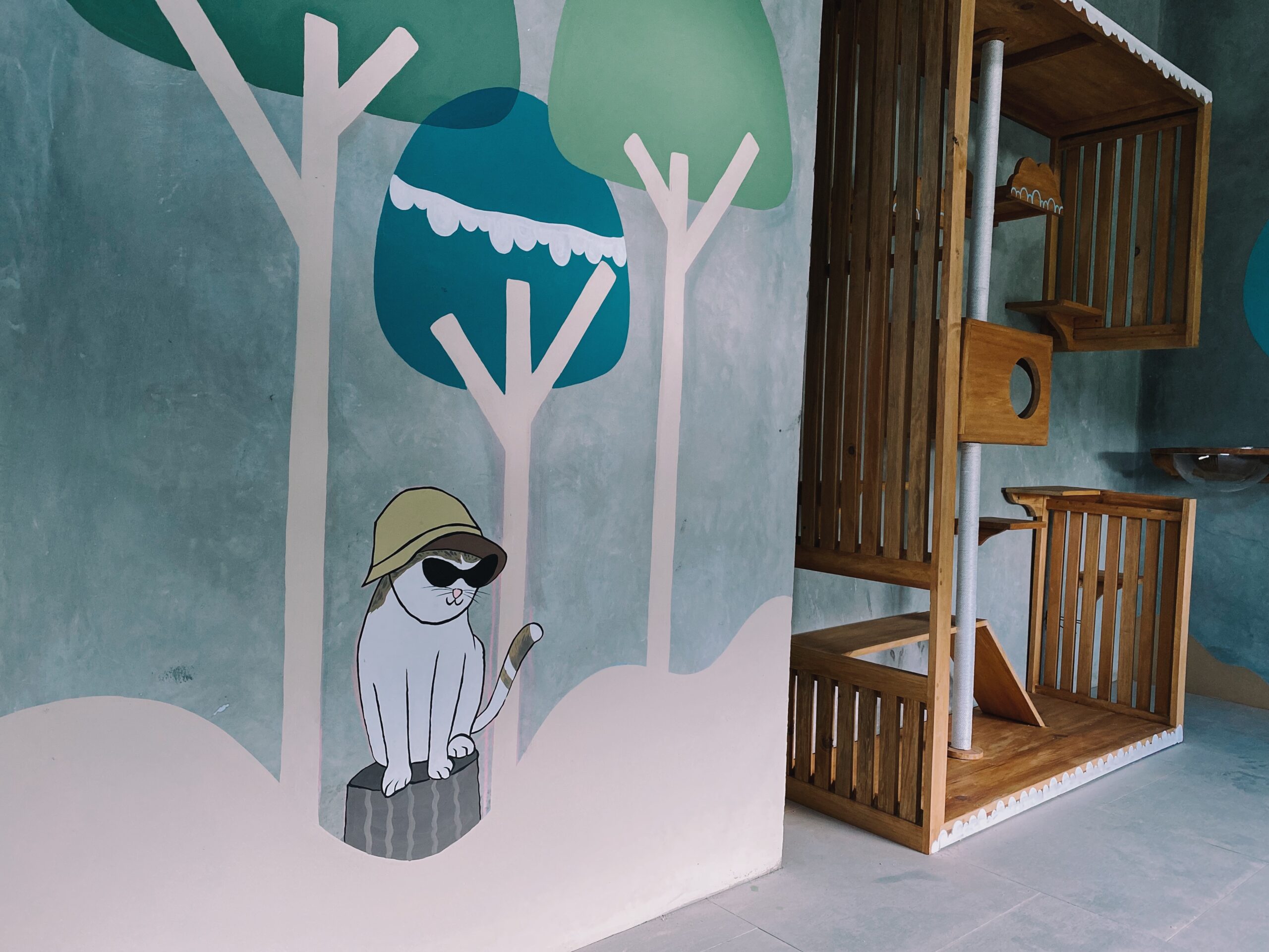 Original PetCasa archive project 12