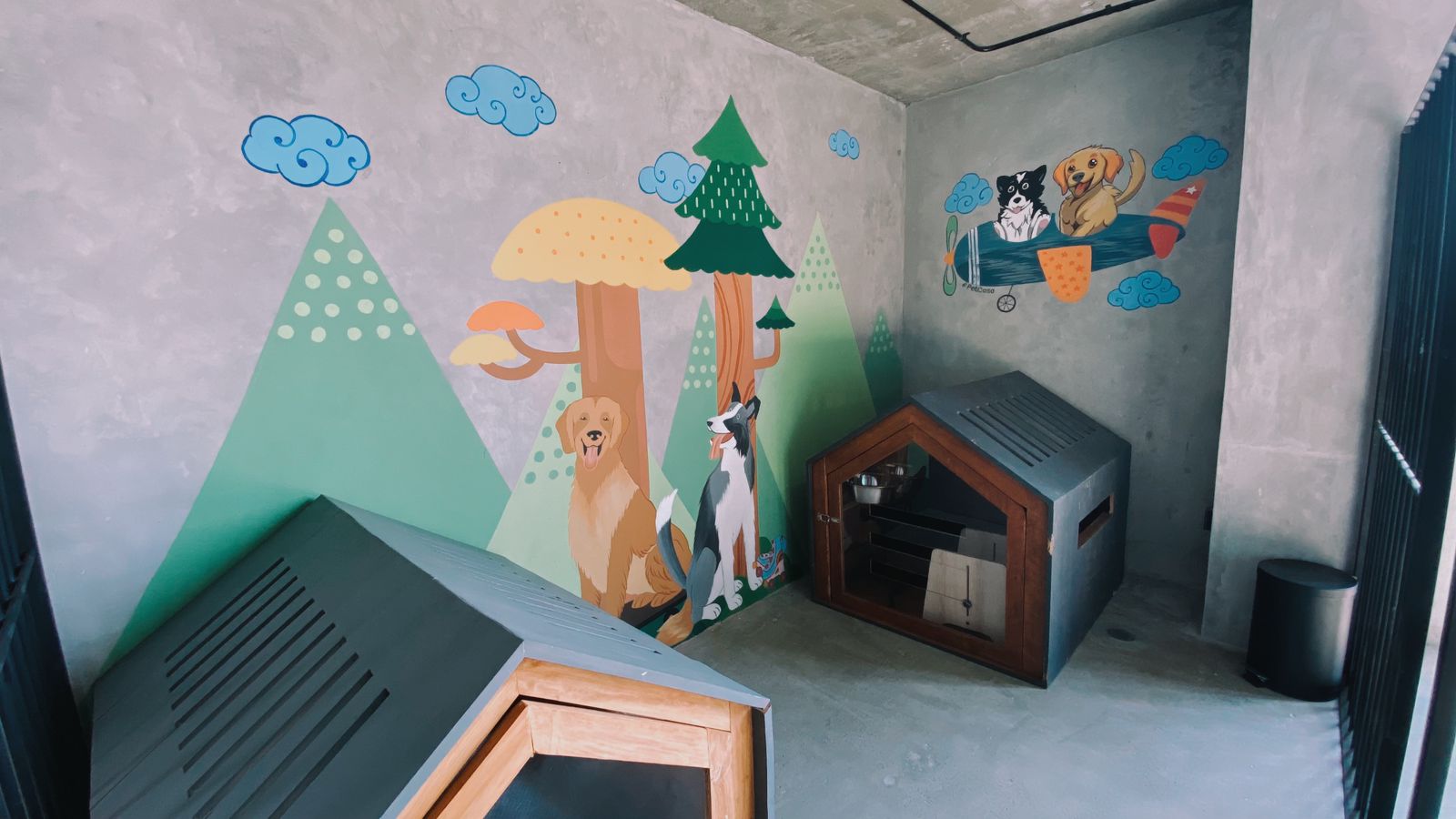 Original PetCasa archive project 21