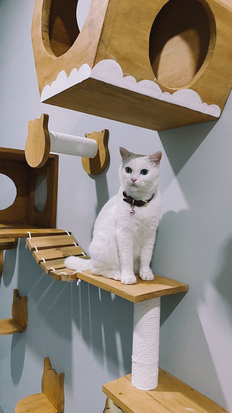 Original PetCasa archive project 25