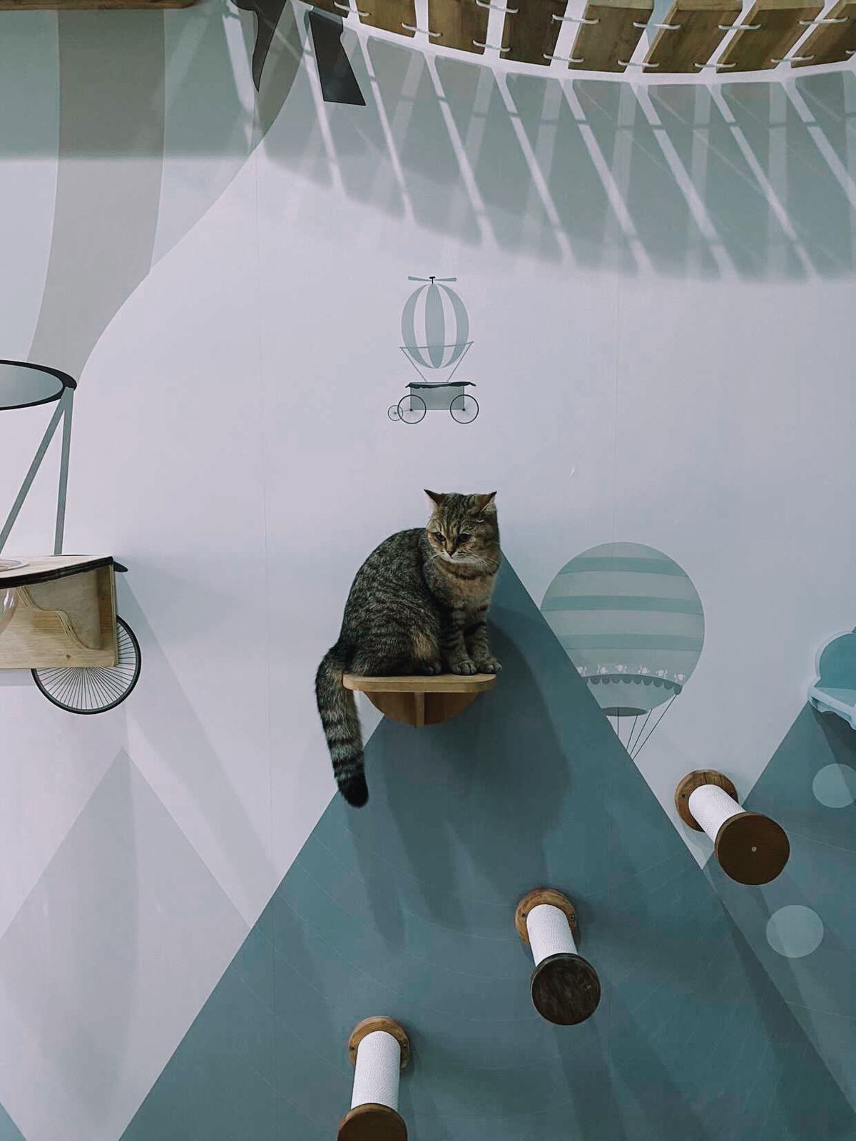 Original PetCasa archive project 26